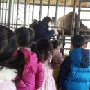 창원 자연숲 어린이집 이미지