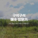 한국국제협력단 노동조합 | [후기]구석구석 메솟방문기 1편