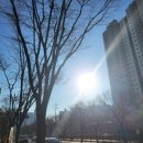 꾸꾸닥 | [얀센 부스터샷 접종후기] 모더나 접종후기 시간대별 증상 부작용 (얀센 6월 접종, 부스터샷 12월 8...