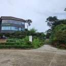 하남경찰서 본관 화장실 | 남양주 구리 하남 맛집 로마옥 리버사이드 내돈내산 후기/아쉬웠던점/크리스피먹물관자 추천