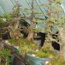 새봄농장 이미지