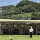 댕스파크 이미지