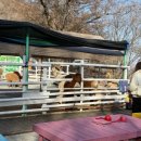 대망목장 이미지