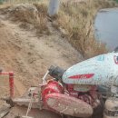 홍연농장 이미지