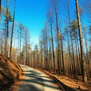 롯데대형카센타 이미지