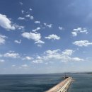 뚝방가든 | 속초 라마다 호텔 아이랑 여행 디럭스 테라스 패밀리트윈 내돈내산 + 바다뷰 씨가든카페