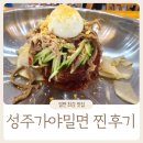 성주가야밀면 리뷰행사 후기(3)