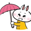먹어섬 - 서산시 | 먹어섬