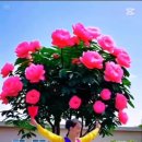 일출로 이미지