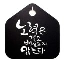 캘리