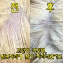 고양이 피부병 ,고양이 탈모 관리방법 (2주만에 새털이 자라나왔어요!)