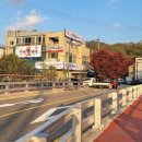 대마초등학교 이미지