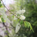 상념의 정원 이미지