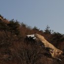 정남진농장 Daum카페