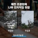 충남조경건설 | 제천 조경업체 나무 전지작업 전문가의 현장!