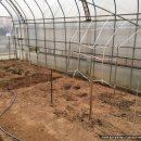 윤진농장 이미지