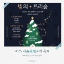 보람동_금강보행교 남측(좌) | 2025 세종시 빛트리 축제 트리 점등식 크리스마스 전야제 주요 행사 정보 소개