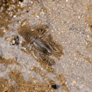 선산식자재마트 이미지