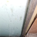 동백중앙로 이미지