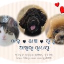 도그베이 오산점 이미지