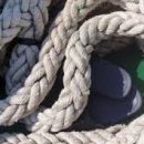 이배축산 이미지