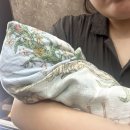 꽁꽁냠냠 - 용인시 수지구 이현로 115 | 수원 조리원추천 내돈내산 "더케어산후조리원" 디럭스룸9박10일 솔직후기