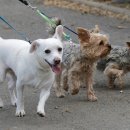 하루산책 이미지