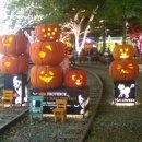 싱그러운청도로(가을) 이미지