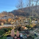 건강한식탁 파스타 이미지