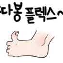 오르폴스튜디오