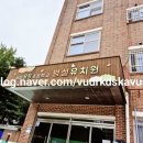 서울용동초등학교 이미지