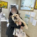 아카데미콘택트안경 이미지