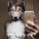 하울링 네이버블로그