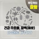 주춧돌