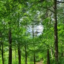 덕유산자연휴양림 이미지