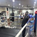 골든보이짐 이미지