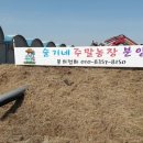 슬기네농장 이미지