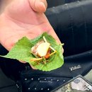 태원수산산곰장어 이미지