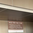 2025 광주 어린이 상상극장 <나무의 아이> | 화담숲 화담채 후기, 소요시간 (입장권 예약 없이 현장구매 꿀팁)