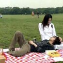 펫갤러리 이미지