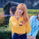 NATURE(네이처)PC 이미지