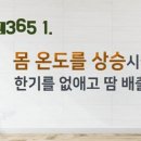 올리고365 이미지