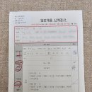 푸른 식물병원 | 용인 둔전 채용 신체검사 후기, 병원 식물 이야기