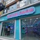 캐치팡(CATCH PANG) 이미지