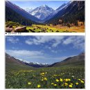 19년8.1~8.7(일)카자흐스탄.키르키스탄+우치텔피크 이미지