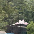 단양농협상진지점 이미지