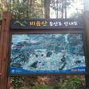 비음산 굴반쉼터 네이버블로그