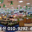 성호약국 이미지