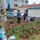 신장1동 행정복지센터 이미지