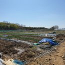 신원동-1 이미지